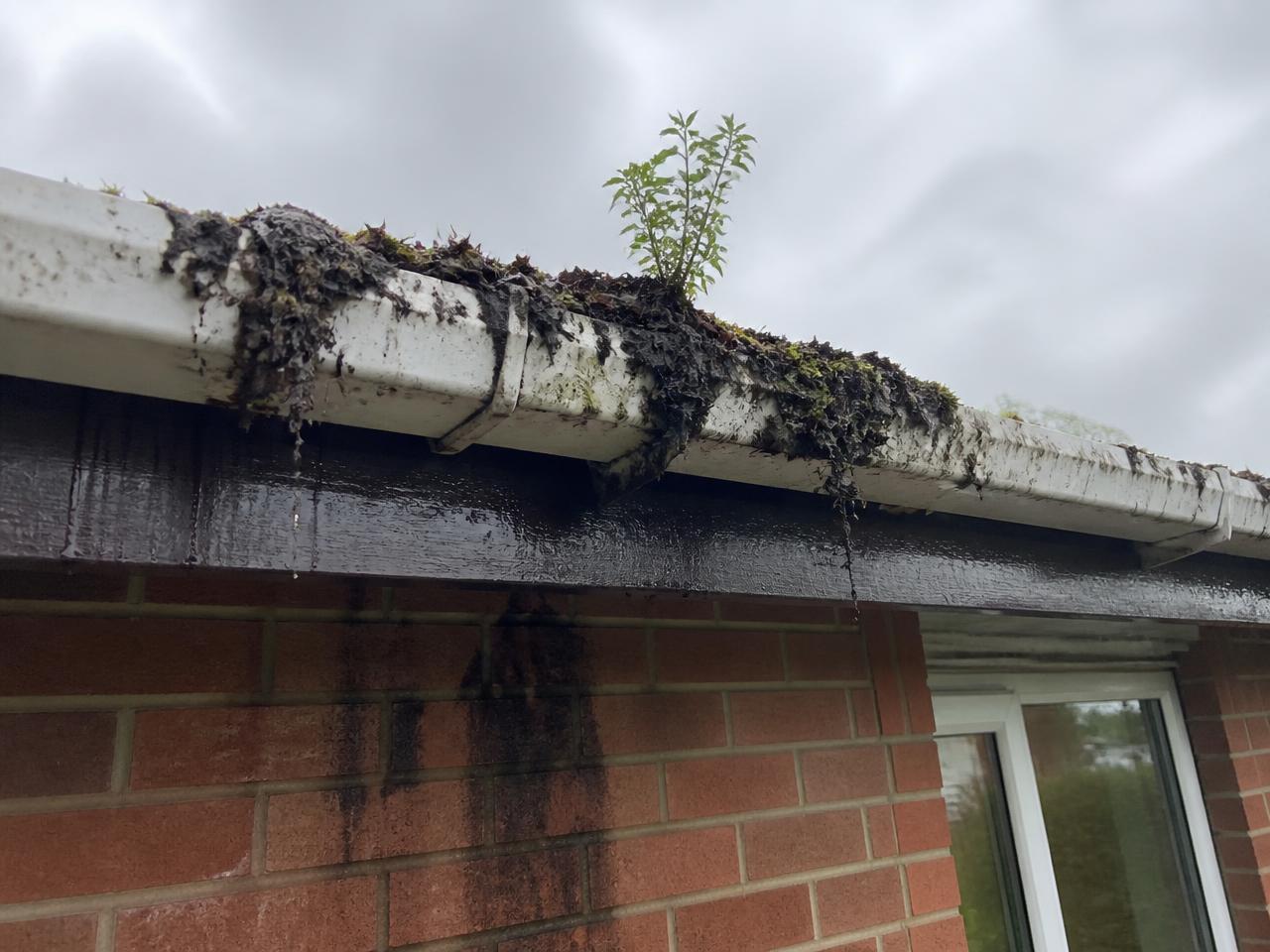 Before: gutter clean and repair in Kingston