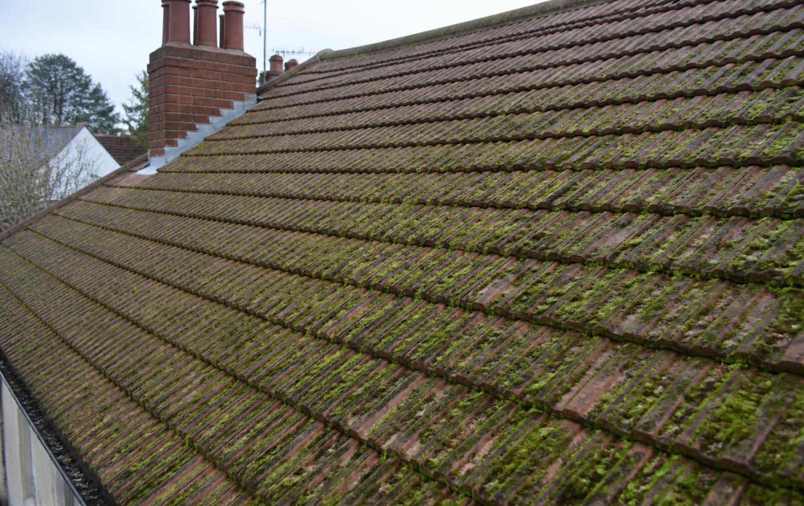Tiled roof with heavy moss growth before cleaning